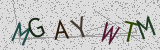 Défi visuel du captcha
