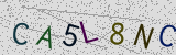 Défi visuel du captcha